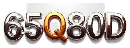 65q80d logo